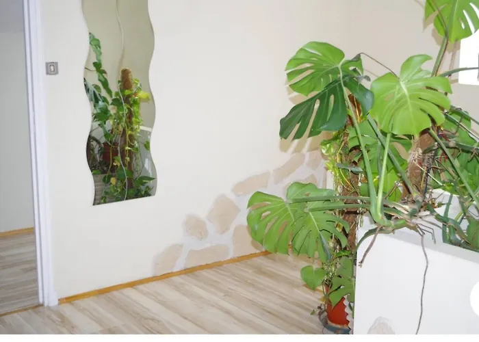 L\'Appartement 90M2 Climatise